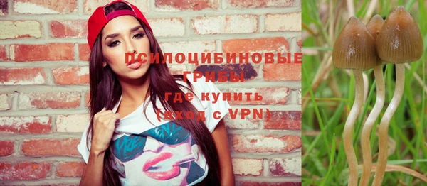 прущие крисы Аркадак