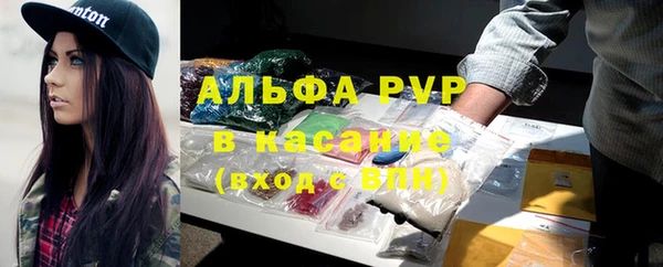 прущие крисы Аркадак
